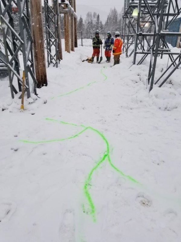 Utility Detection: Substation grounding cables under snow